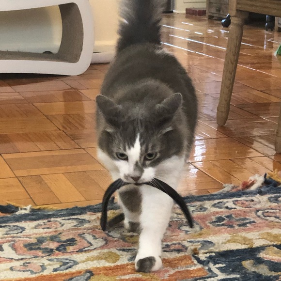 Meet your Posher, Megan - Picture 6 of 10